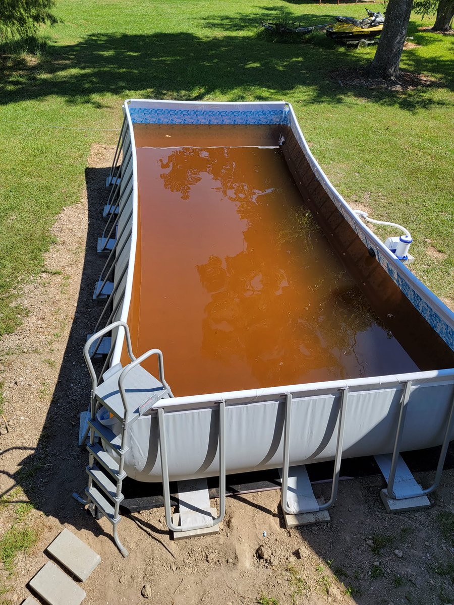 NoChillFluffy's tweet photo. @jmderobertis Filled my new swimming pool on Thursday, Aug 17 - or attempted to at least.  The new, "clean" water in the pool is green.  We should be able to depend on clean water. https://t.co/oY3BRFsuSl