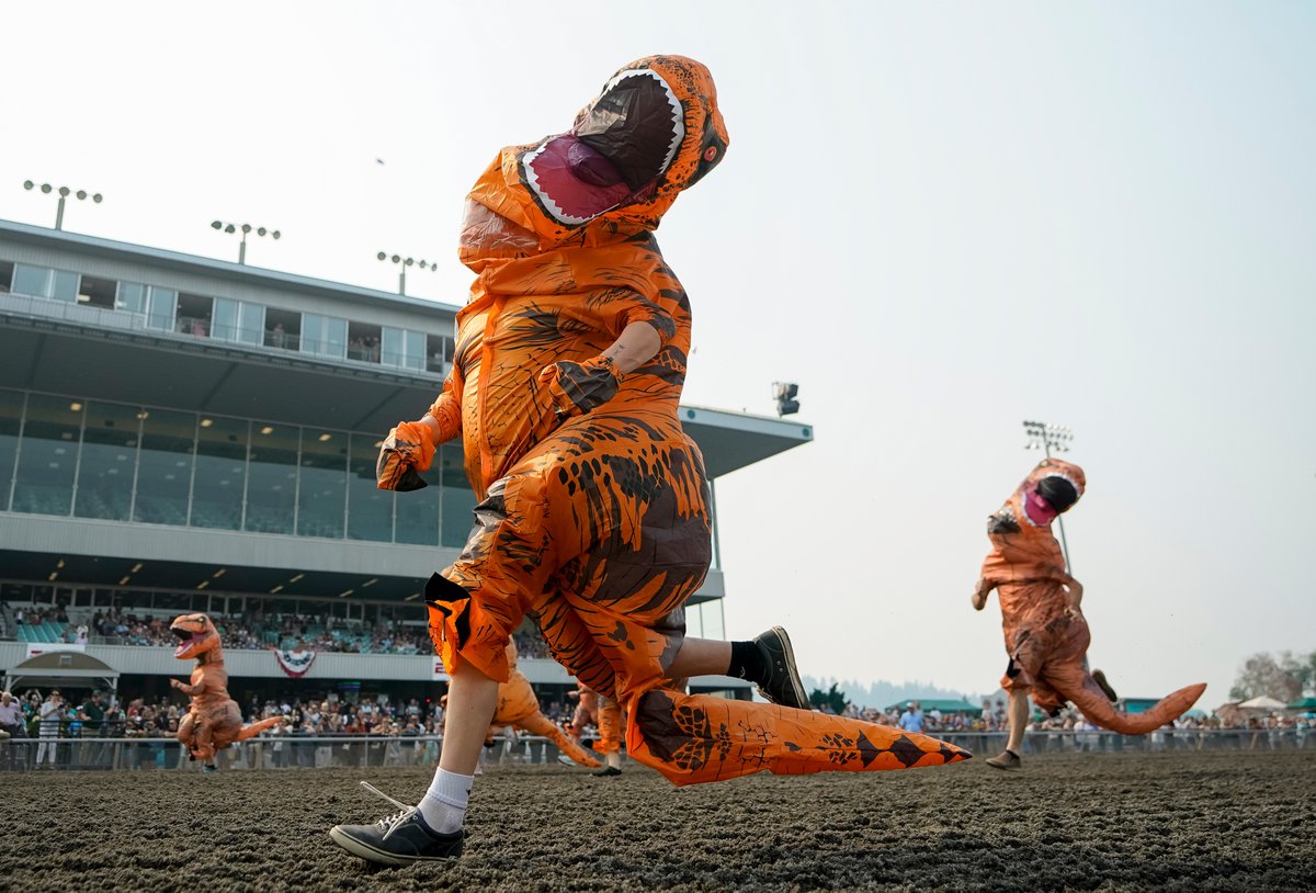 Some images from the 'T-Rex World Championship Races' at Emerald Downs, for @AP. 🦖