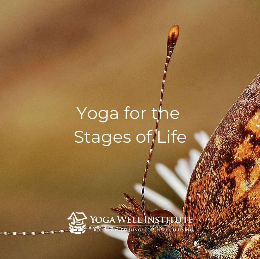 YogaWell's tweet photo. A lifelong Yoga Practice, like all things, has its own seasons. While there is no one size fits all approach for any one person, having an understanding of how the practice of Yoga is intended to support us throughout all of life’s stages can provide valuable insight.
#viniyoga https://t.co/wUD2XwYfp4
