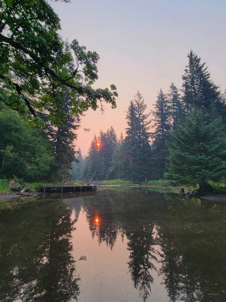 geordiemuppet's tweet photo. Reflections through the smoke.

#FraserValley #Smoke #Refletions #BritishColumbia #WildFires #Sunrise #Forest #Pond https://t.co/5tVtrqsdHM