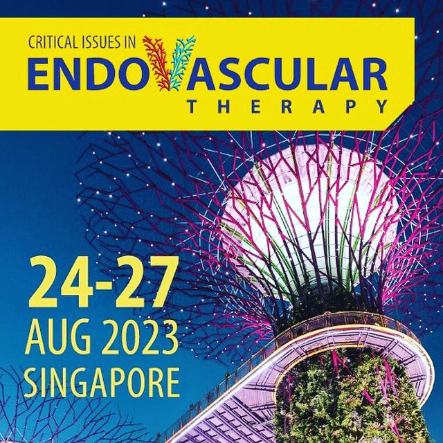 Less than a week to go till Critical Issues in Endovascular Therapy. Organised by the Society of Vascular and Endovascular Surgeons of Singapore @svessg the meeting replicates the familiar quick-fire and practical style of discussion @ VERVE. themeetinglab.eventsair.com/critical-issue…