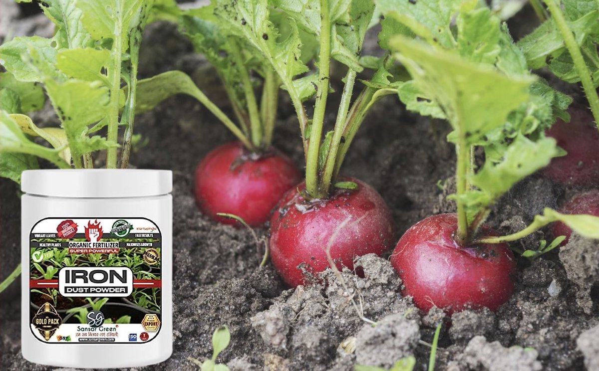 green_sansar's tweet photo. Sansar Green Iron Dust Powder For All Plants.
https://t.co/usd1eFJlT7
#sansargreen #irondust #ironfertilizer #organic #fertilizerforplants #plantscare #nutritionsforplants #plantsdiet https://t.co/KQxRFPftRC