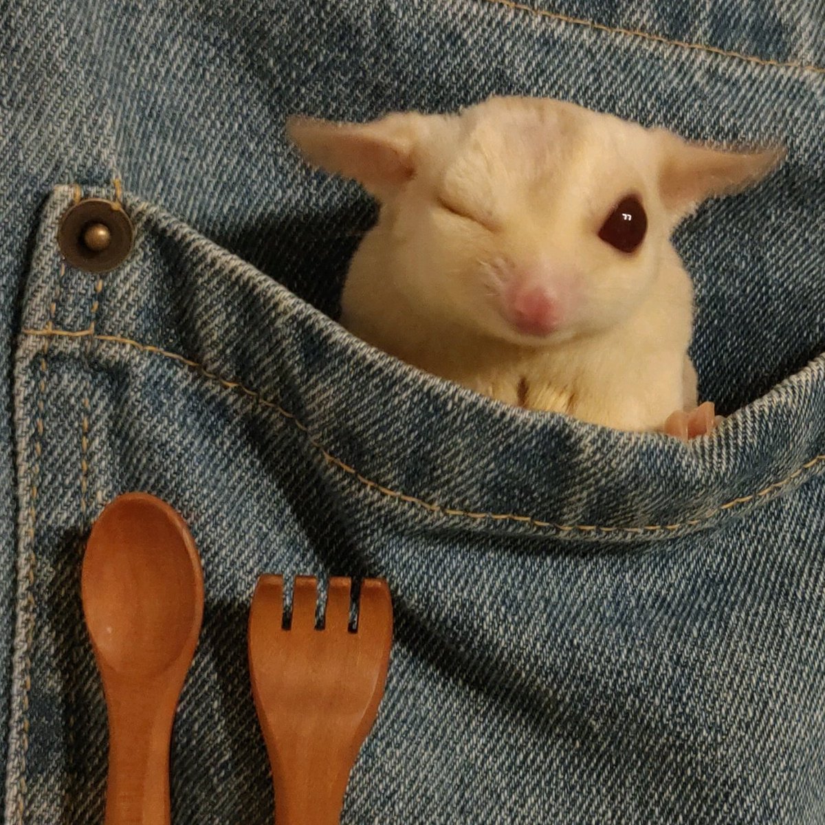 musukek's tweet photo. #新しいプロフィール画像 https://t.co/bkt3cOXyHm