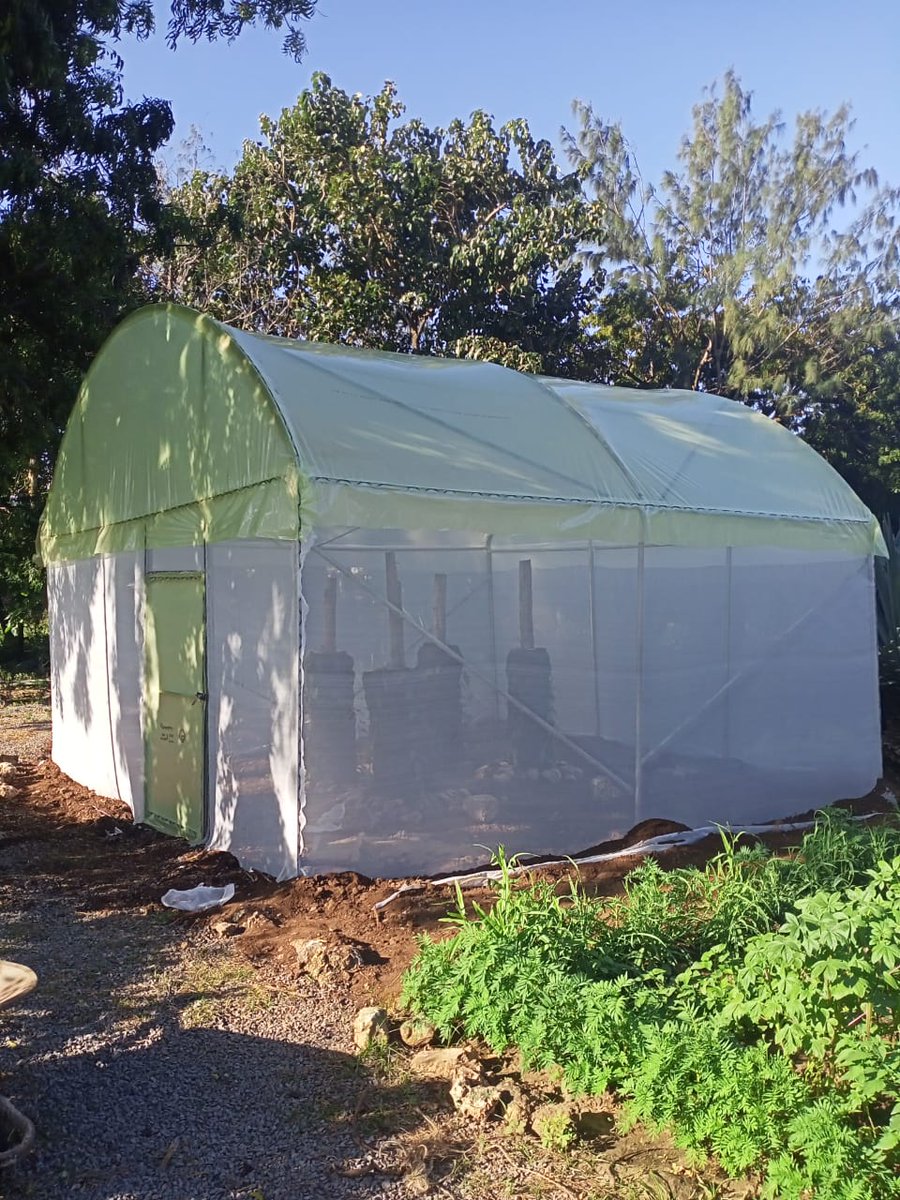 IrriHub's tweet photo. Over the weekend we were in Mombasa to set up a mini greenhouse for Kalro institute. 

Two days were enough to install this unit. 

Very ideal set up for those who would love to grow their own food. https://t.co/8R0BQ4HjIB