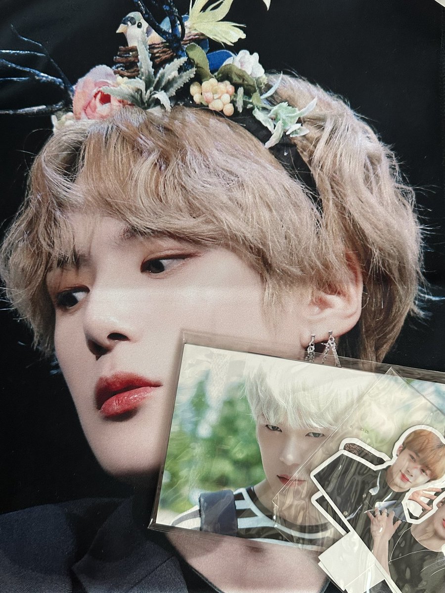 혹싀 인형이랑 슬로건 관심 있는 분 싸게 드리께야 연락주샤요🥺