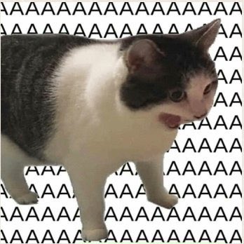 Hueon yaaaa diganloo #TheLulosShow