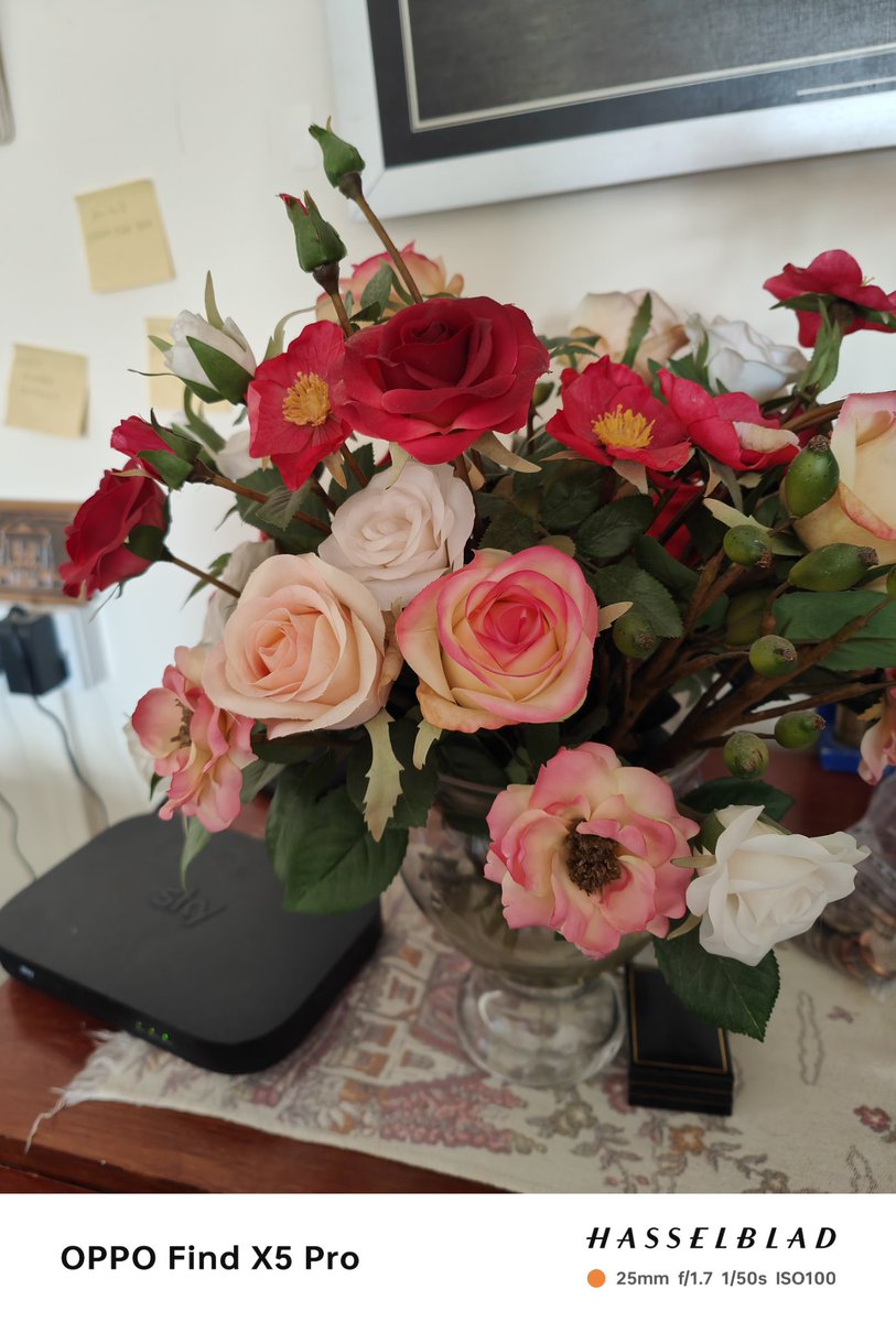 cindyhague's tweet photo. @SalUPTON An English rose for a lovely English/Australian lady, RIP . https://t.co/CDidrBPREK