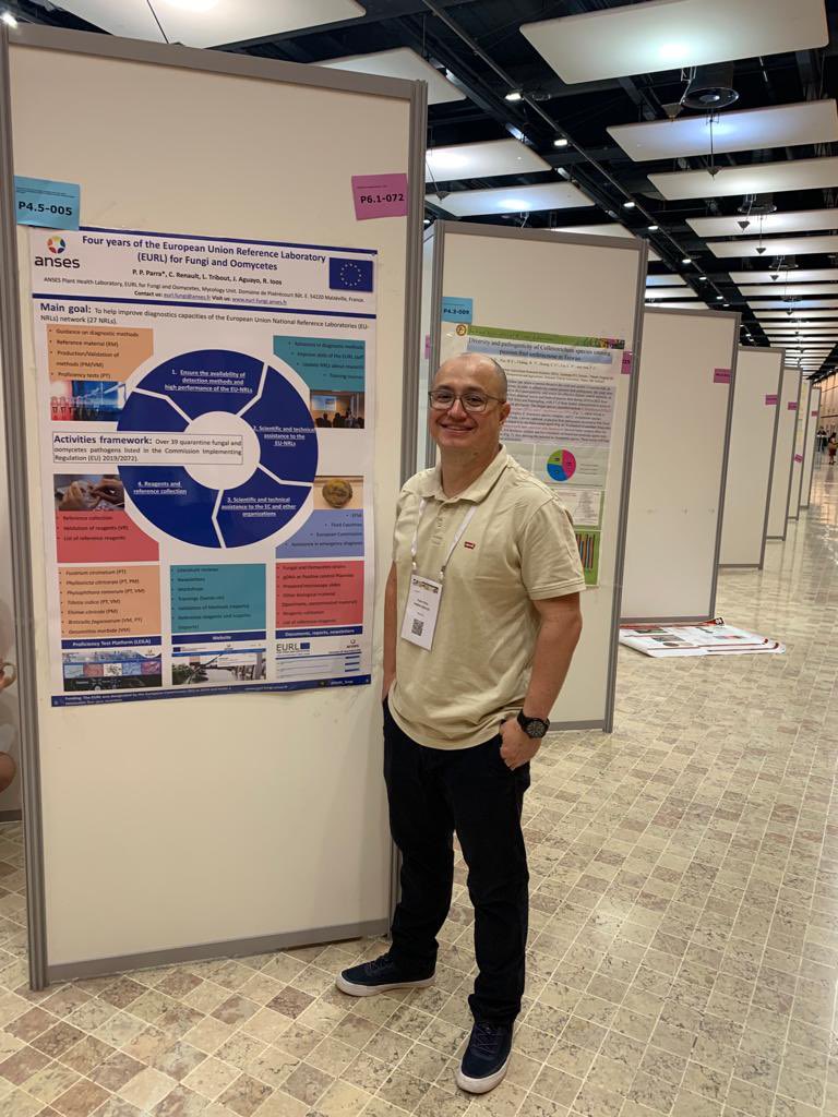 #ICPP2023 stop by and take a look at some of the work the @EURL_fungi has done in the last four years. #OneHealth #Mycology <a href="/icpp2023/">ICPP2023</a>. We have a poster and a talk.