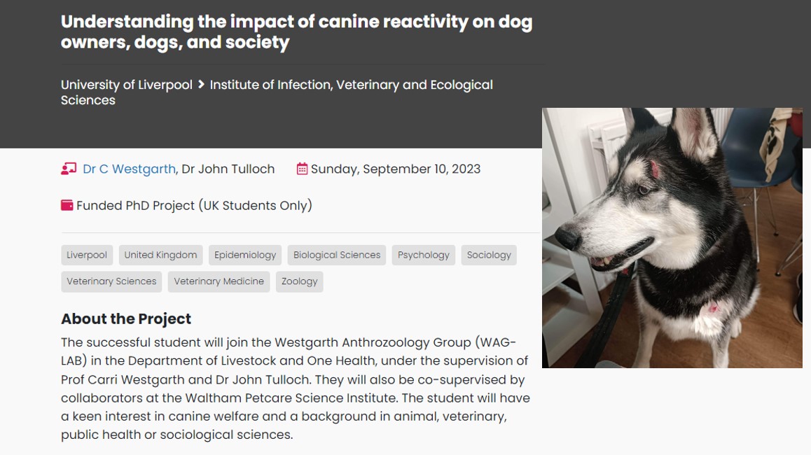 Very pleased to finally able to advertise this PhD to investigate #reactivedogs @LivUni_IVES co-supervised by @JT_EpiVet and our collaborators at @waltham_science. Please apply by emailing me your CV and covering letter. liverpool.ac.uk/study/postgrad…