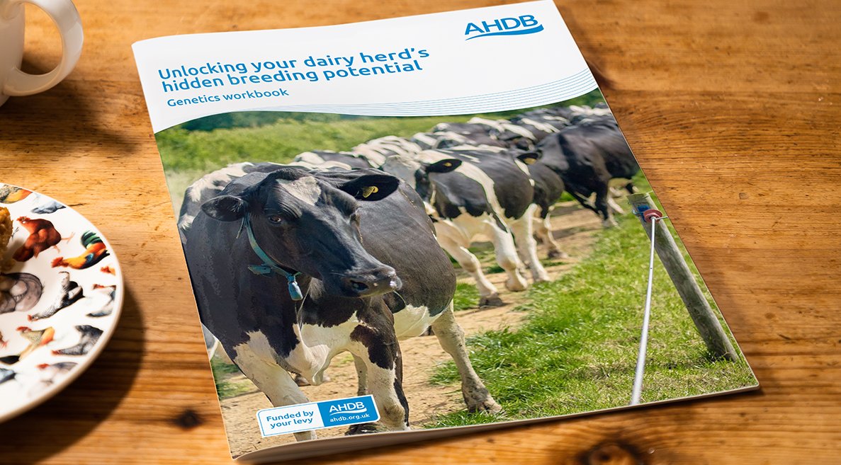 OMG - I am so super excited - workbook for Genetics Meetings has come to life - Looking to have a more meaningful conversation with your Semen Sales Rep - then this is for you !   Register now - bit.ly/45zAtTn <a href="/CISTelford/">The Cattle Information Service (CIS)</a> <a href="/NMRgroup/">National Milk Records (NMR)</a> <a href="/HolsteinUK/">Holstein UK</a> <a href="/AHDB_Dairy/">AHDB Dairy</a> <a href="/marco_winters/">Marco Winters</a>