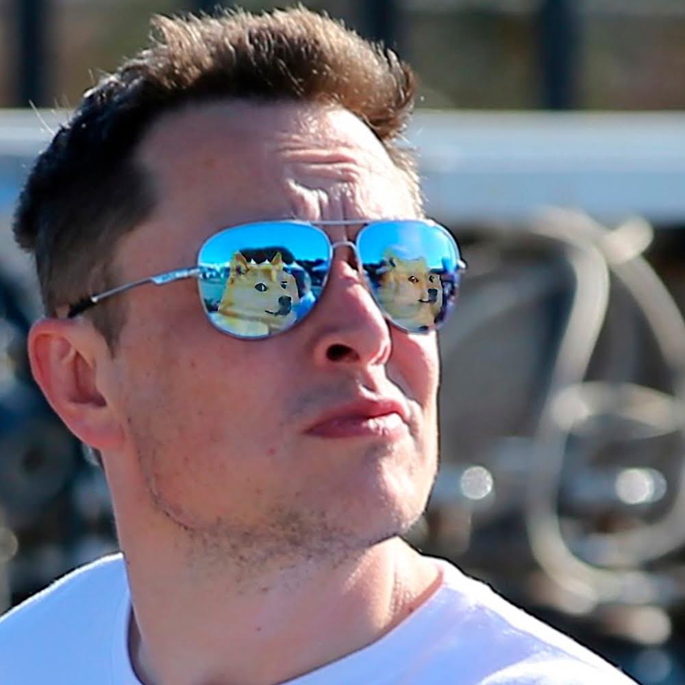 cb_doge's tweet image. One of Elon Musk's coolest profile picture on 𝕏