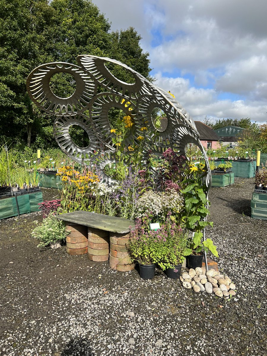 Rosyhardy62's tweet image. The Coccolithophore has become a feature and seat in the nursery shop area @hardyplants so much colour now do pop in for plant supplies #repurposed #FlowersOfTwitter #peatfree #Autumn