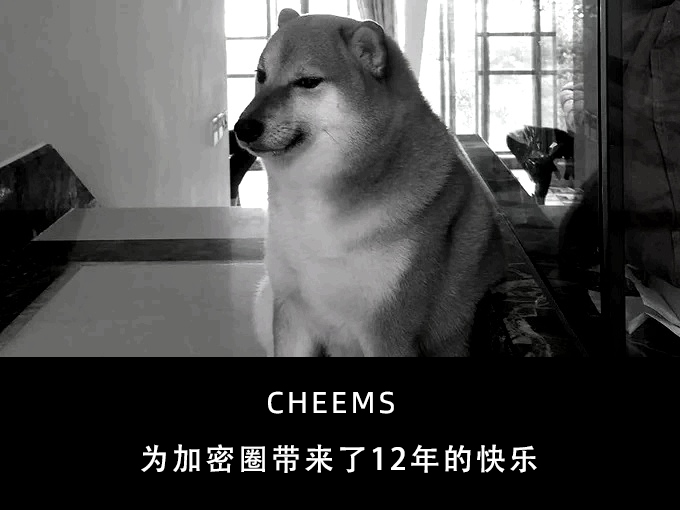 ET_CatCN's tweet photo. R.I.P. Cheems，为世界带来了12年的快乐。 https://t.co/NzrAGCXS5V