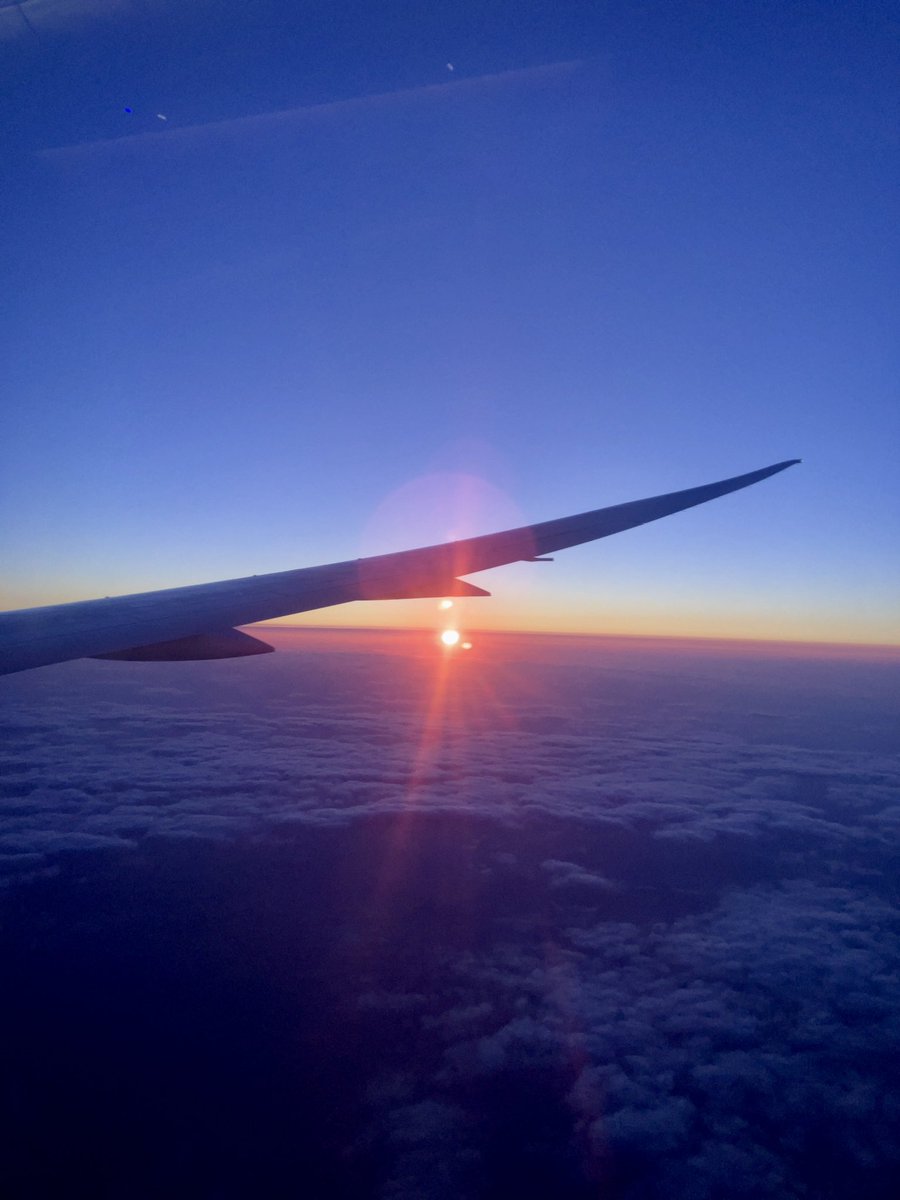 Shin_Yuno's tweet photo. ポーランド、ワルシャワ空港着✈️
ロシア上空を大幅に回避して、ウクライナもギリギリ避ける大回りルートでした。そりゃそうだ。 https://t.co/8rw77hRzVu
