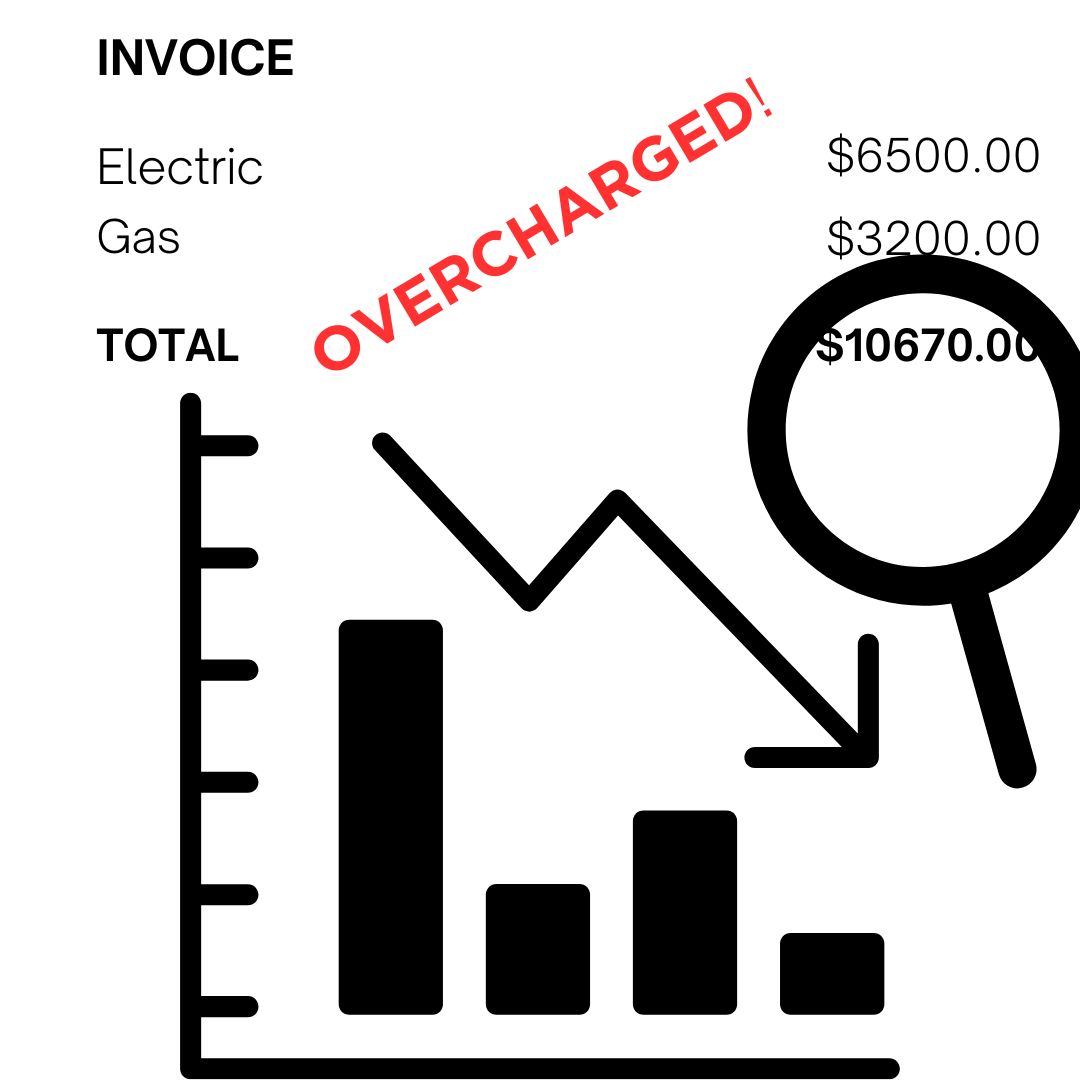CoachAndreM's tweet photo. 🔍 Did You Know? Overcharged Utility Bills Can Drain Your Business Finances!

According to studies, 80% of companies are often overcharged for utilities.

 As a business owner, it's crucial to ensure the accuracy of your utility bills. 

Overcharges can significantly impact yo... https://t.co/Voy9S6ytkw