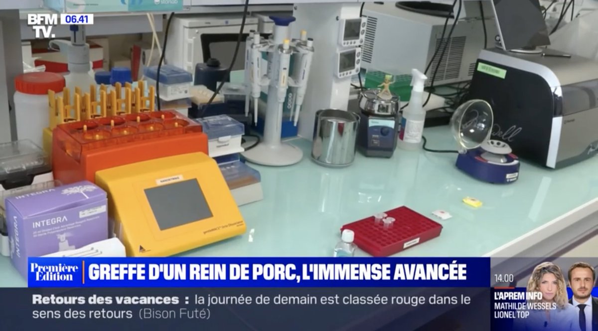 Paris Transplant Groot tweet media