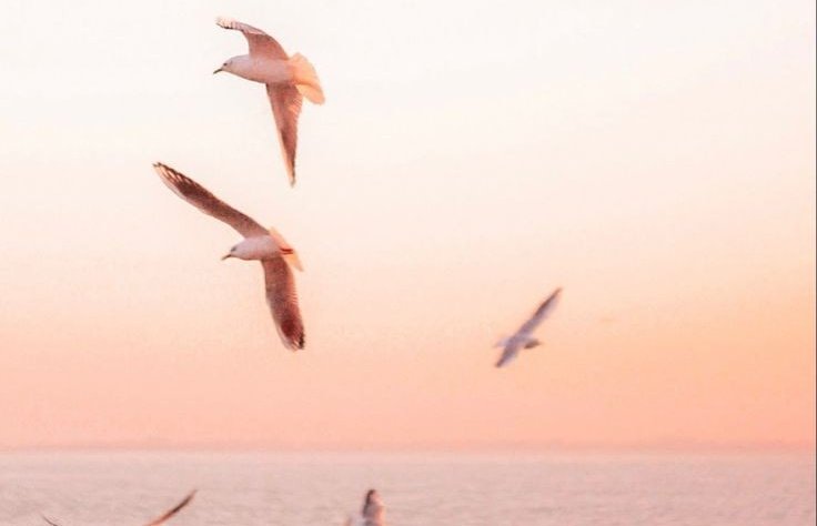 "Глупости получаются случайно, а потом становятся лучшими моментами в жизни."
©Марк Твен 📖