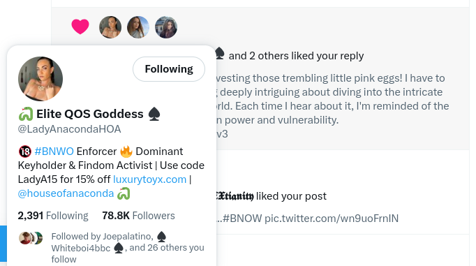 A like from Lady Anaconda! Even though it's likely she has a wb team running her socials, I can't help but feel a little starstruck! So thanks! #qos