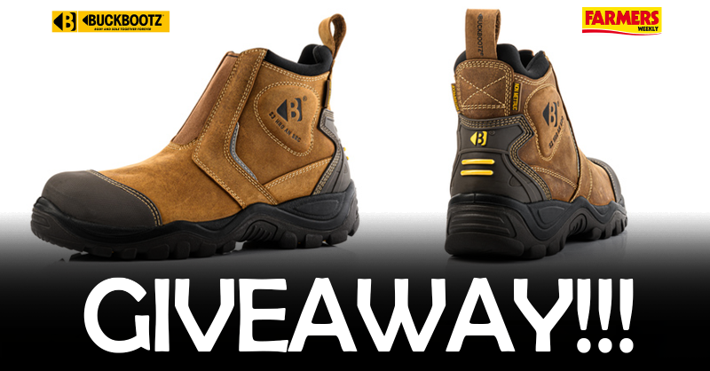 FarmersWeekly's tweet photo. 🚨🚨 #GIVEAWAY ALERT! 🚨🚨

We've teamed up with @buckbootz to give you a chance to win a pair of boots from the 'bANg guardz product range'.

To enter:

▪️ LIKE and RT this post
▪️ Tag one friend

ENDS: August 27, 2023 | #Competition