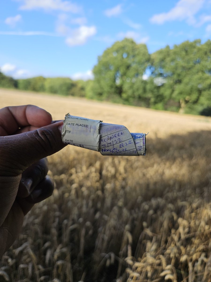 vernscape's tweet photo. Saturday was so nice, I had to do it twice! First, my early morning walk yielded views of summer harvest - important that we store away animal food for the winter. Secondly, for International Geocaching Day, it was great to have fun whilst orienteering! #Geocaching #uhoutdoors https://t.co/UZLdakAtpb