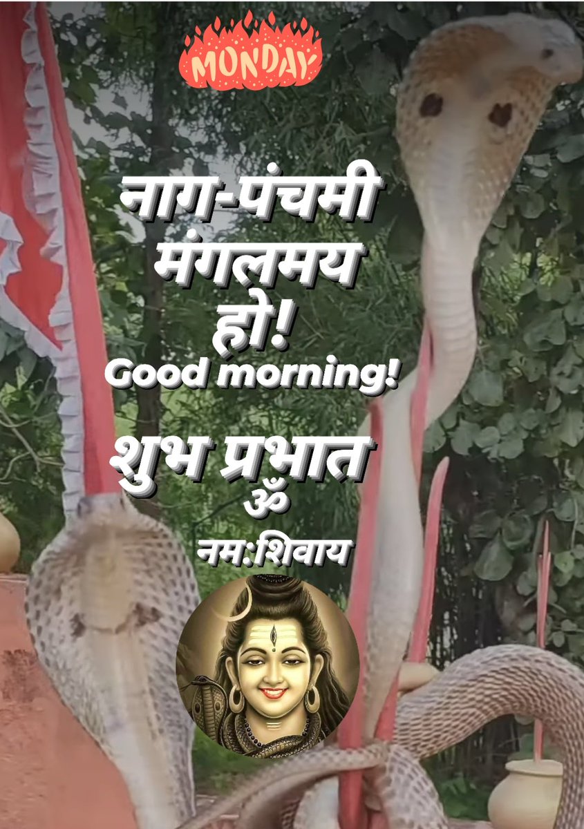 Goodmorning!Happy Nagpanchami!We respect Nag(cobra)as a saviour of land&ornament,Bed of BhagwanShiv &Bhagwan Vishnu!They're descendants of Maharshi Kashyap &Kadru!It's a day celebrated for bodybuildingKushti.Good day.शुभप्रभात!शिवप्रभात!नागपंचमी मंगलमयहो!ॐनमःशिवाय!शुभमकल्याणमस्तु