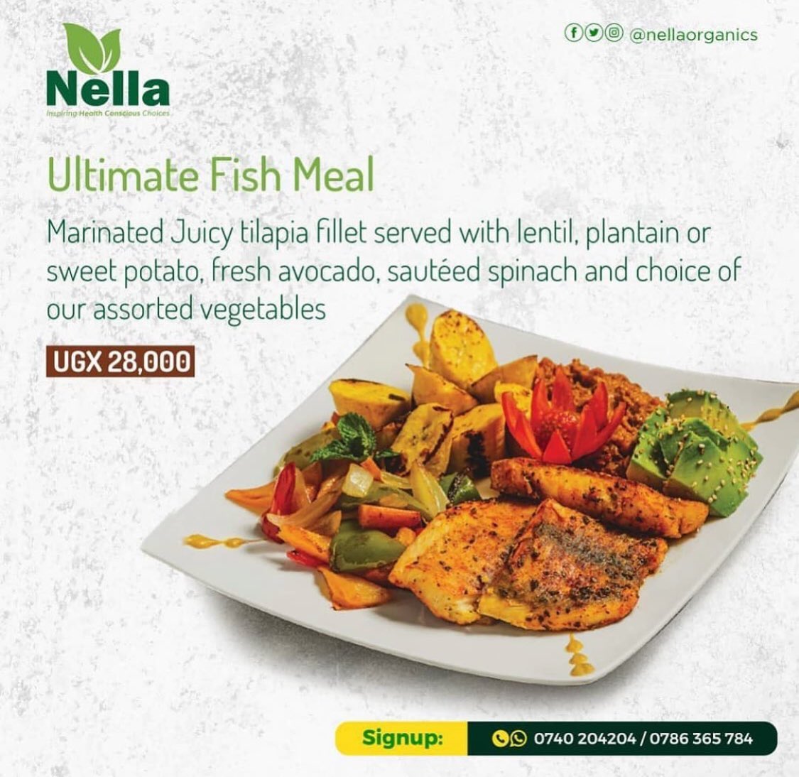 KitchenNella's tweet image. Who says Monday can't be a splash of flavor? 🐟🍴🌿 Dive into our Ultimate Fish Meal and give your week a tasty twist right from the start. Because great food makes even Mondays feel like a breeze! 🤤👌🏽 
#nellawellness 
#DeliciousStart