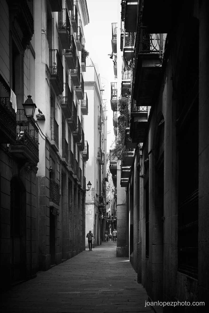 The deep narrowness of the alleys

📸 Fujifilm X-T4

📷 Fujinon XF 35mm F2 R WR

⚙️ ISO 160 - f/4.0 - Shutter 1/200

#barcelona #city #street #alley #streets #streetphotography #streetphotographer #urban #urbanphotography #balconies #lanterns #gothicquarter #barrigotic