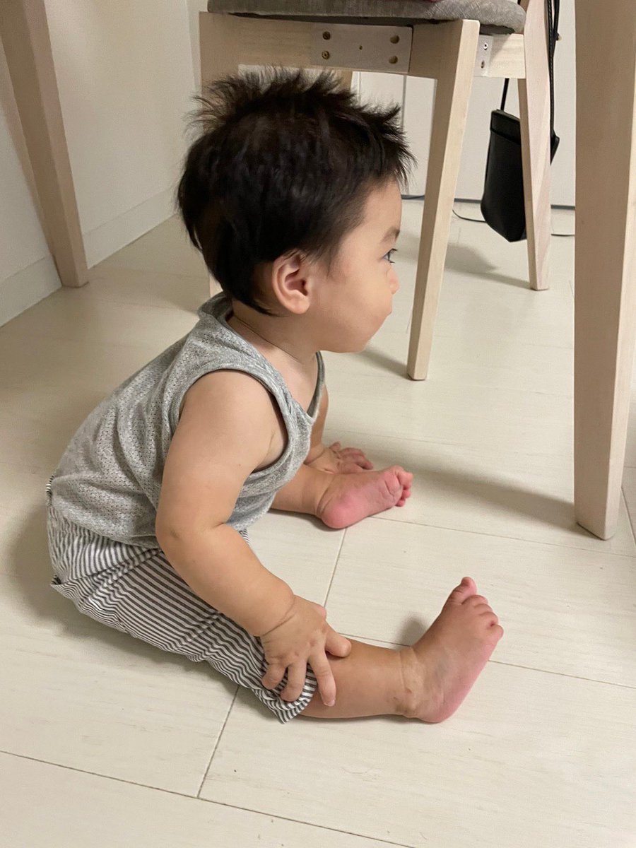meimaru0827's tweet photo. 我が家の小さいおっさん https://t.co/2OZBLVL1MN