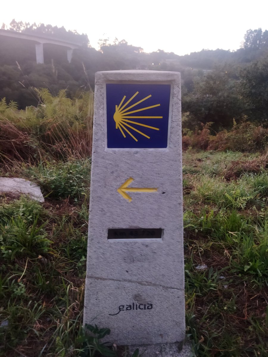 Comenzamos la quinta jornada, destino Padrón, #caminodesantiago #caminoportugues