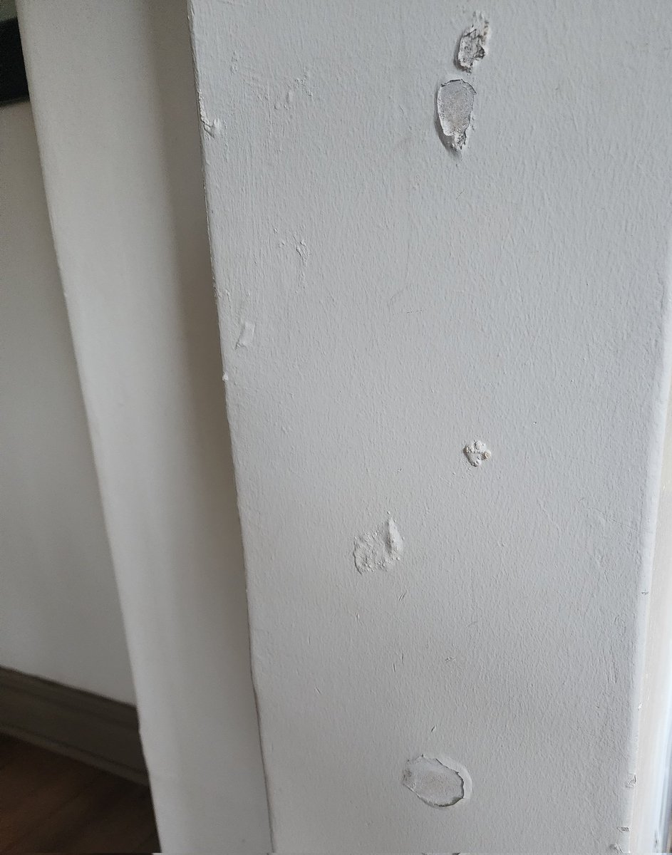 faati_55's tweet photo. @StandardBankZA the walls &amp; floors are getting worse by the day yet no response.Probably best to go to the ombudsman now.the damage is getting worse &amp;you will then say you cant cover. This damage could be avoided had you done something when your people detected the leak 😡😤 https://t.co/5RT7jlW9S9