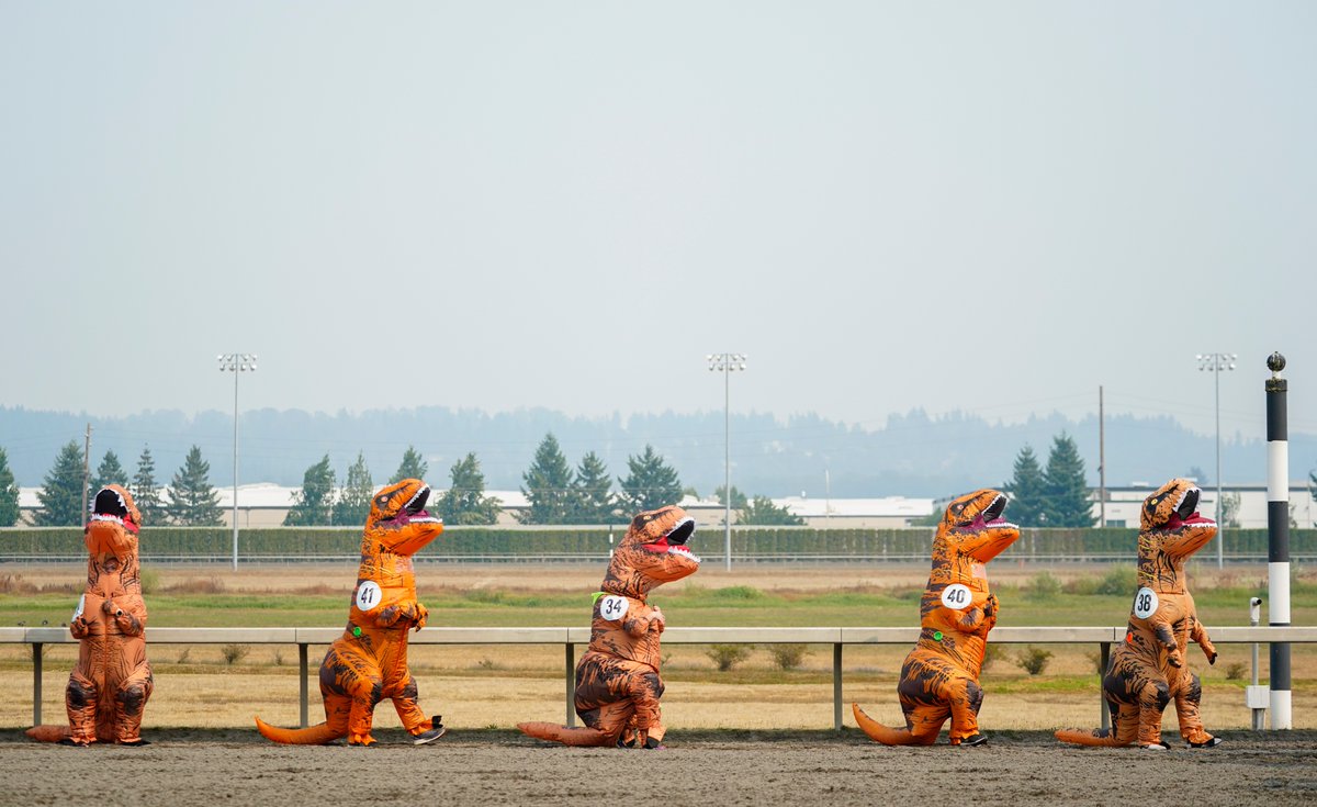 lindseywasson's tweet photo. More from the #TRex World Championship Races at @EmeraldDowns, for @AP_Images https://t.co/Bdh4XKvp91