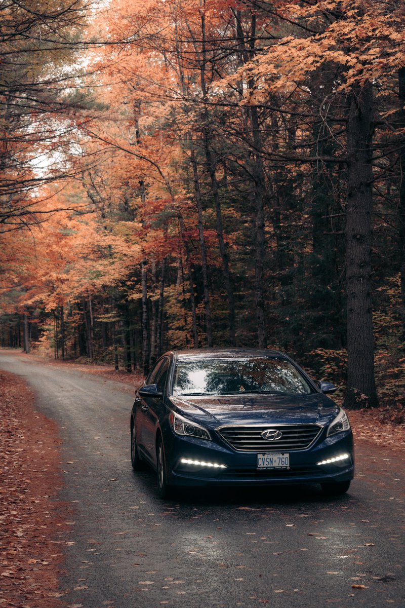 MaxIrung's tweet photo. "Rev Up Your Drive with DiscountCarsLA: Where Every Journey Begins with Quality, Savings, and Adventure! 🚗💨 #DrivenByExcellence #CarDeals #AdventureAwaits" https://t.co/vsRbcKy6ga