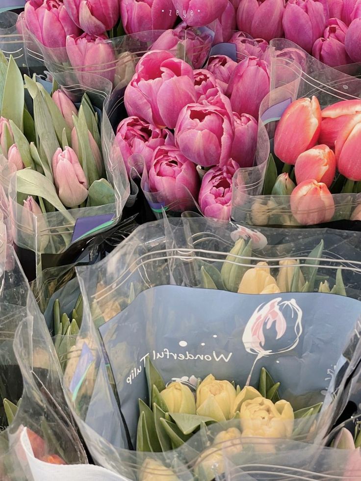 D12
🖇️ — hello, i’m mayumi ; new to #studytwt &amp; #studytwtph ! looking for moots (〃'▽'〃) 

about me . . .
✰ she/they • infj-t • capricorn 
✰ ‘08, a grade 8 student [ fil/eng ]
✰ likes : music, manhwas, sleeping, kpop, arts, sunset, english

↻ / ♡ to be mutuals  #studytwt