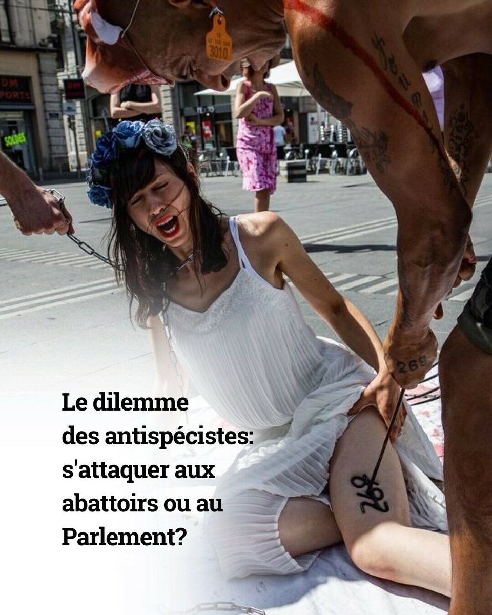 Anti-autoritaires, libéraux ou écolos, les antispécistes sont divers et la place de l’action illégale débattue dans le milieu. Rencontre avec ces opposants à l’exploitation animale. 👉 l.heidi.news/L31

✍️ <a href="/SarahZeines/">Sarah Zeines</a> 
📸 Nicolas Liponne / Hans Lucas