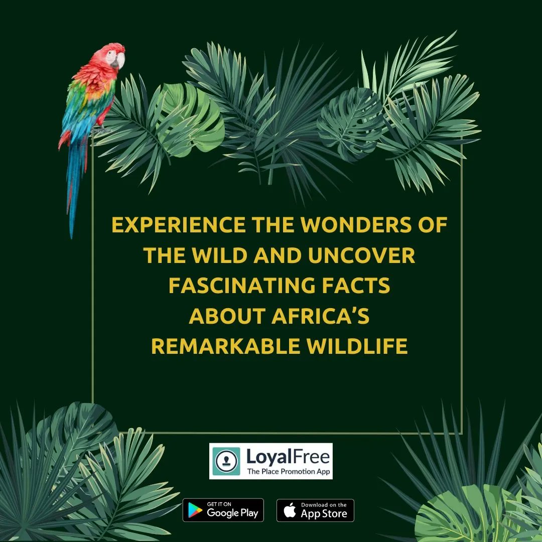 HelloDorking's tweet photo. Looking for a fun, free activity for all of the family during the Summer holidays?
Take part in The @HelloDorking Summer Safari Trail on the @LoyalFreeapp 🦁🌿
#LFSummerSafari #WildlifeAdventure #ExploreDorking https://t.co/pRSxJwGIQy