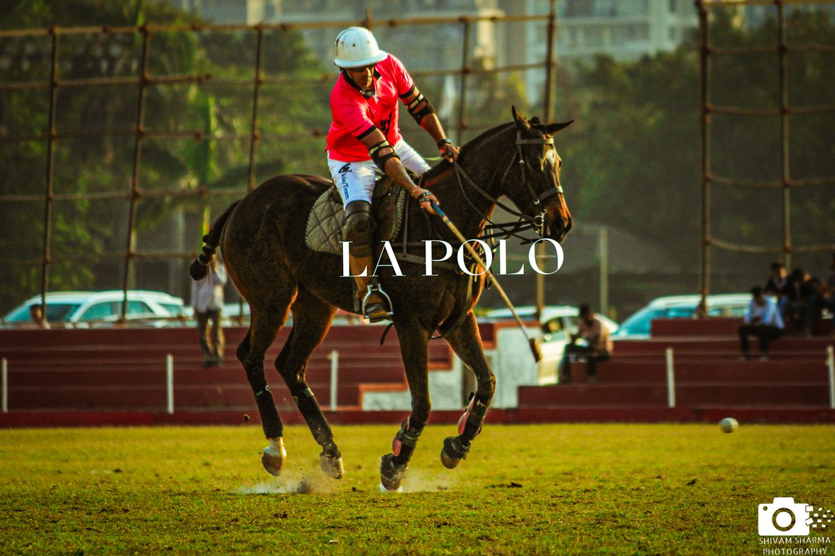 ShivamSPhotos's tweet photo. #poloplayer #poloplayers #polopassion #horsepolo #horsesport #polo #instapolo #polomatch #polohorse #horselover #equine #sportsphotographer #sportsphotography #equinephotography #polosport #poloseason #mumbaipoloseason #mumbai #poloimages #polophotographer #sports #Lapolo https://t.co/vlDiDEartr