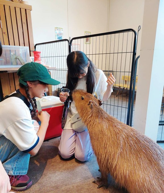 Twitterのコスプレ画像33