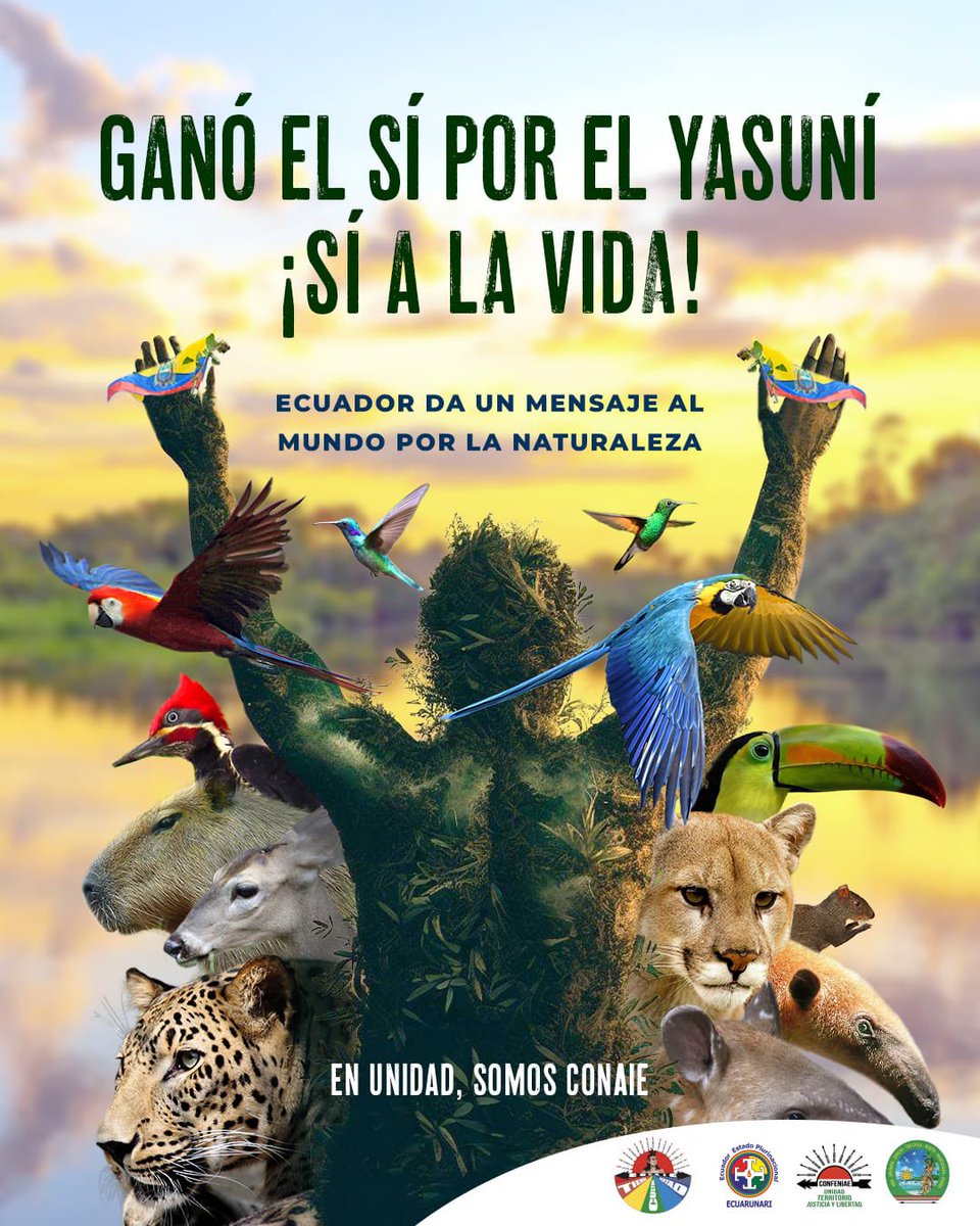 confeniae1's tweet photo. ¡Celebremos juntos el triunfo del #SiAlYasuni!

Hoy el #Ecuador dio un paso gigante para proteger la vida, la biodiversidad y los pueblos indígenas.

El #Yasuní, un territorio de vida para la humanidad, tiene un respiro. Gracias por votar SÍ 🇪🇨

¡La lucha sigue! https://t.co/GV90w1LDSt