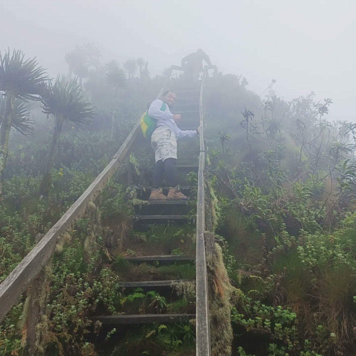 arinabujara's tweet photo. Stairway to heaven... The final hike to the 3rd peak of Mt. Sabinyo is an experience every mountain climber should experience. #Sabinyo https://t.co/E95F2eOVt9