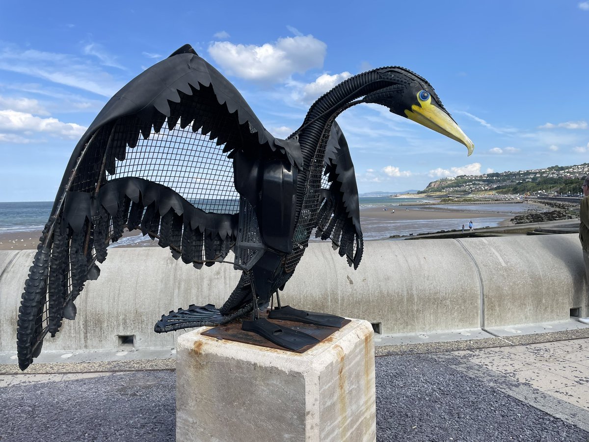 Love this Cormorant at Porth Eirias, Colwyn Bay. Made totally from discarded plastic, just look at those swimming flippers for feet! Highlighting the impact of discarded plastic on our natural world, this is close to one of the UK’s largest Cormorant colonies on the Little Orme