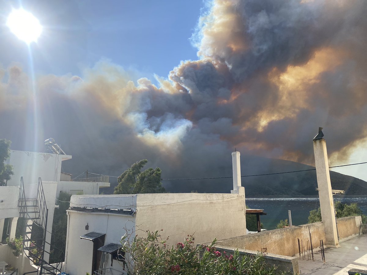 Φωτιά Σαράντι Βοιωτίας. Στο ίδιο σημείο με διαφορά λίγων ημερών.