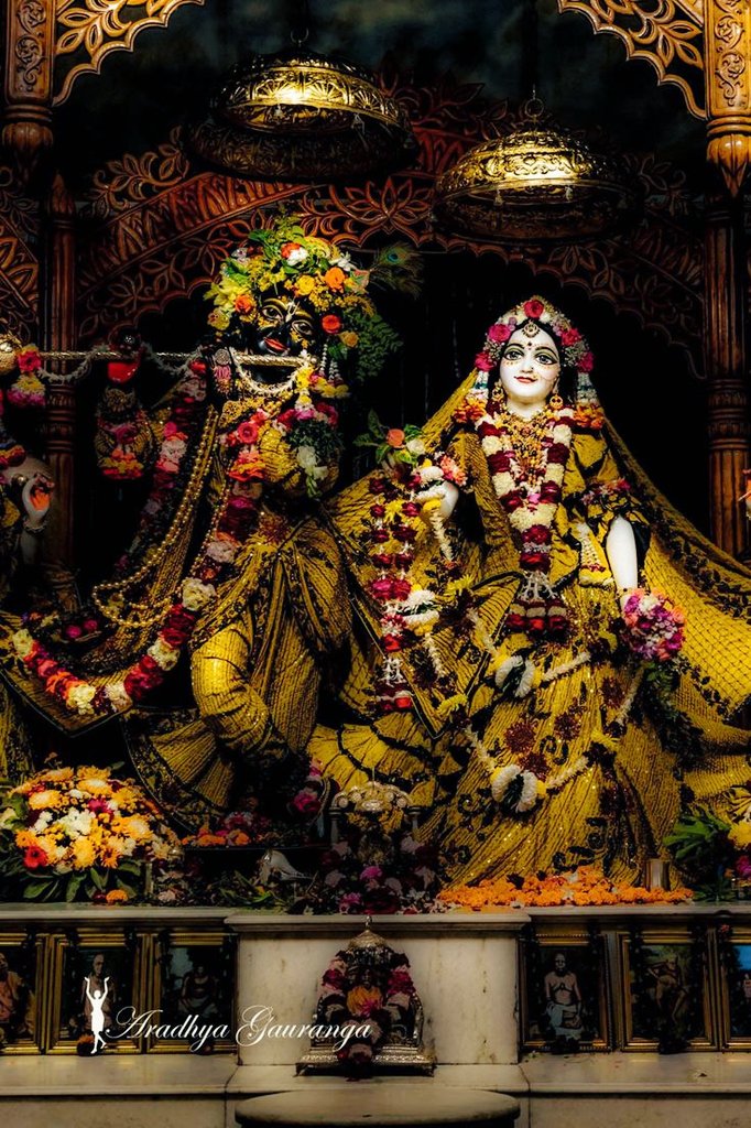 ✨ RADHA KRISHNA ✨ Hare Krishna Hare Krishna Krishna Krishna Hare