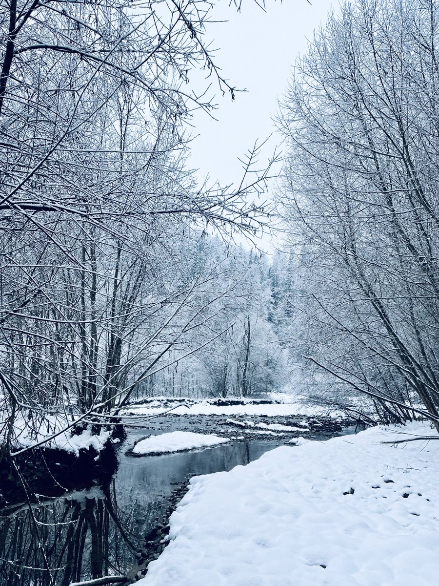 Stay cool!❄️

….und ganz im Ernst: die Auswirkungen von Hitze auf den menschlichen Organismus sind nicht zu unterschätzen. Tragt euch Sorge!