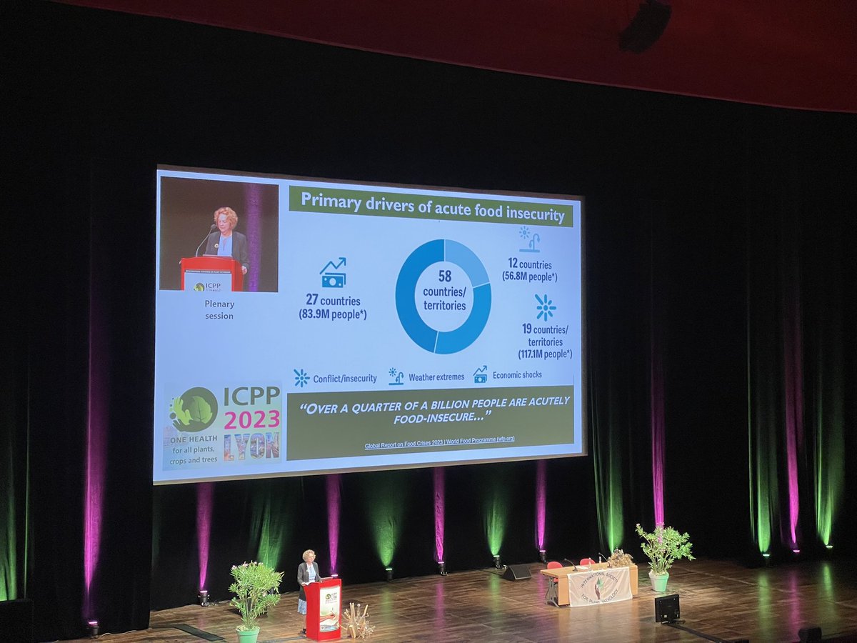 SuayibUestuen's tweet photo. „over a quarter of a billion people are acutely food-insecure“ @JanPhytobiomes is opening #ICPP2023 by emphasizing the importance of plant pathology research https://t.co/uvjMAHZWuK