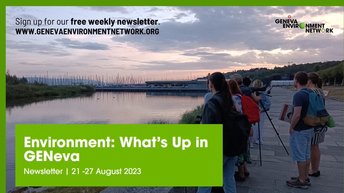 GENetwork's tweet photo. #Environment: What's Up in #GENeva from 21-27 Aug?

✅ Countdown to #HRC54
✅ Advancing #ResourcesManagement
✅ Towards #ICCM5
✅ #ExtremeWeather as “New Norm”
✅ #Heatwave in Geneva
✅ #GreenSummer
✅ &amp; more

Check events #jobs &amp; suggestions ▶️ https://t.co/I4x6KkpNgx https://t.co/Jqt0jMeQbk
