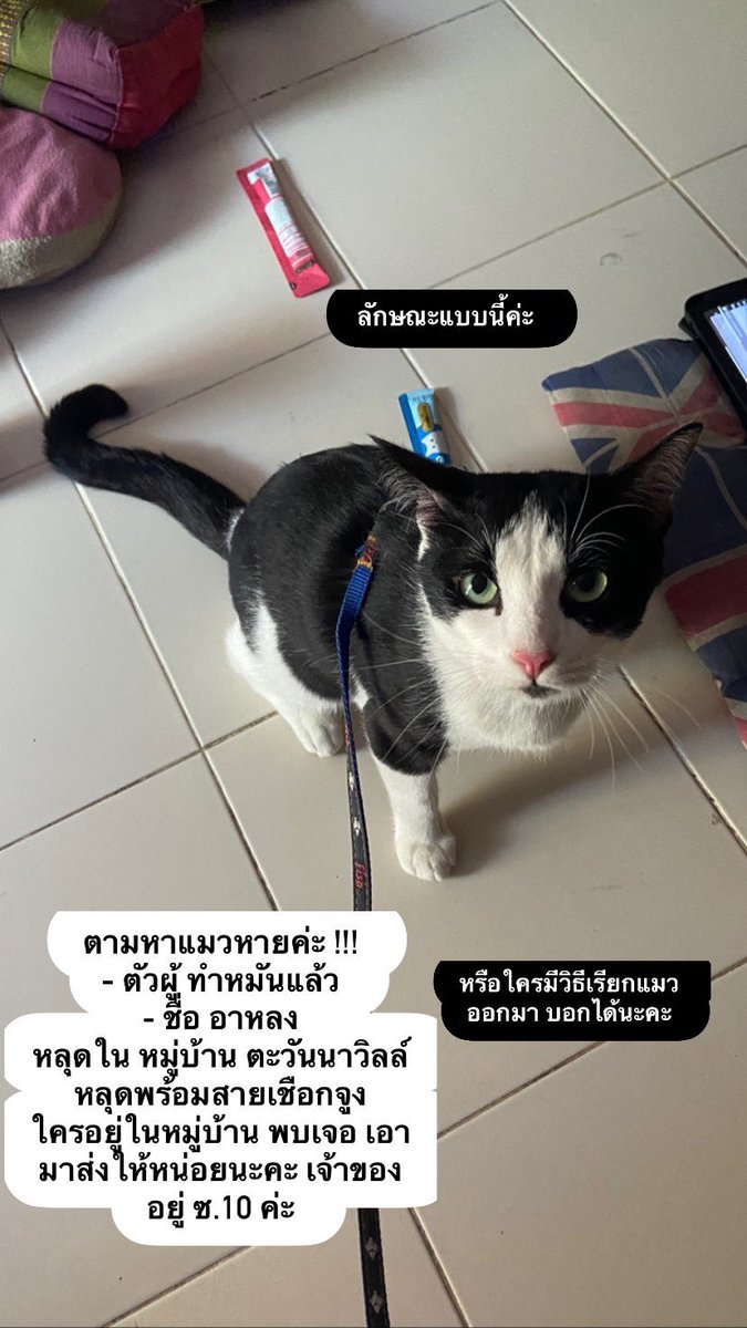 baiferndeel148's tweet photo. เราโพสต์หาในไอจีด้วยคระ ตั้งแต่เมื่อวาน  ใครมีวิธีแนะนำบอกได้เลยนะคะ ตอนนี้เครียดมากเลย🥲😭 https://t.co/jfoSTsIwM3
