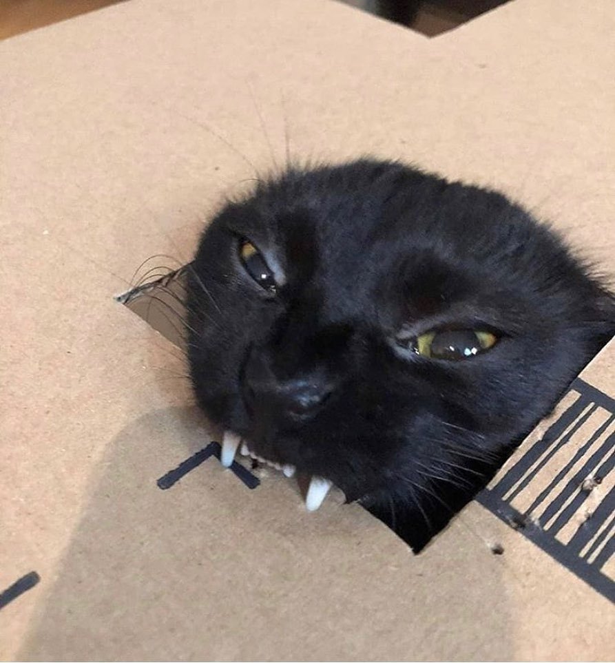 derjansinn's tweet photo. "Bringen fie mir diefen Frödinger! 😡" https://t.co/CHuV9WhDdC