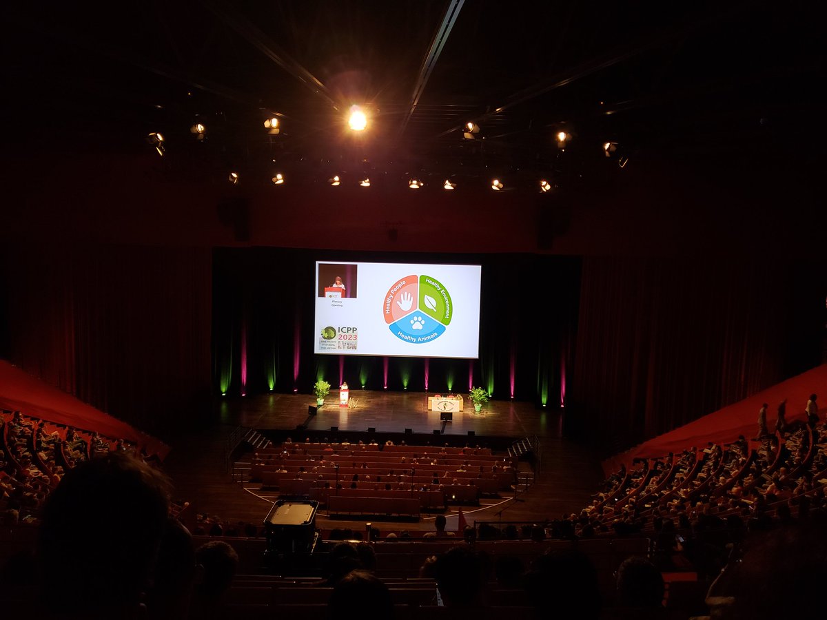 Chuan Hong (@boxwoodhealth) on Twitter photo 