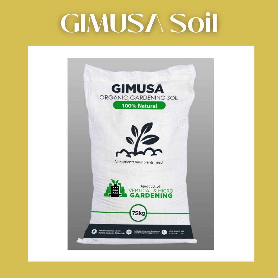 VMG_ug's tweet photo. VMG offers a wide variety of products and services to support your vertical farming endeavours! Check out our website for more information. https://t.co/3LUhb8ZedR