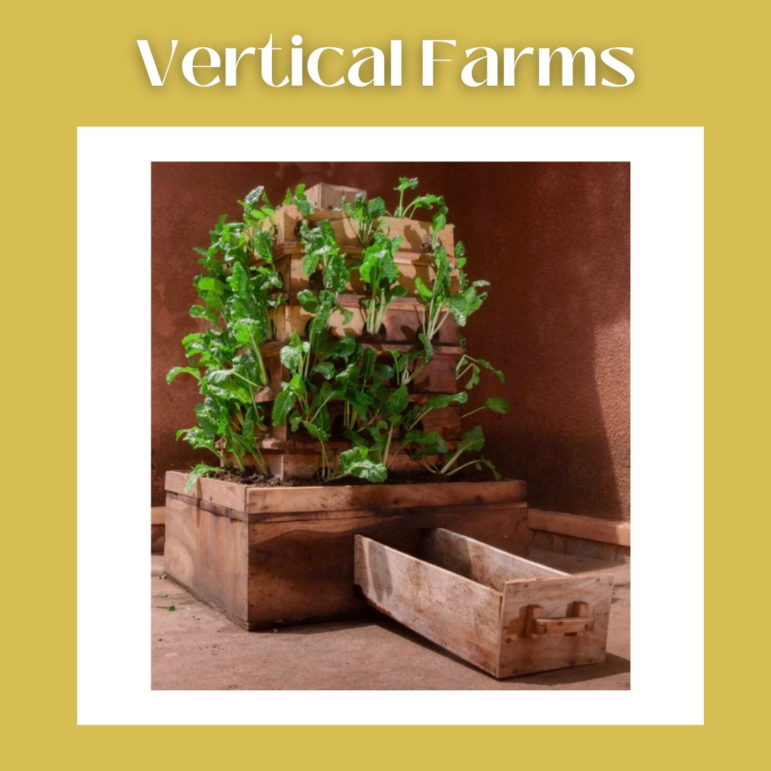 VMG_ug's tweet photo. VMG offers a wide variety of products and services to support your vertical farming endeavours! Check out our website for more information. https://t.co/3LUhb8ZedR